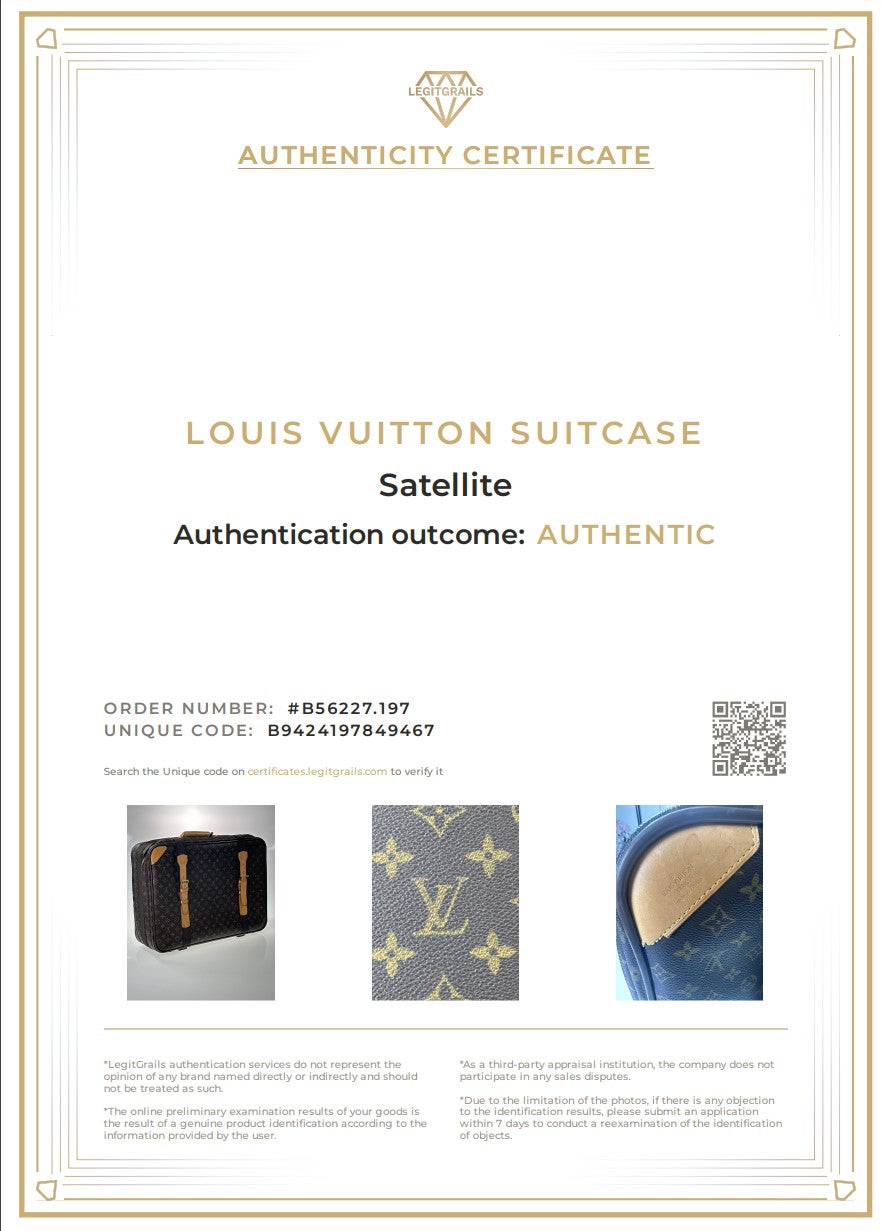 Valigia porta abiti modello grande LOUIS VUITTON