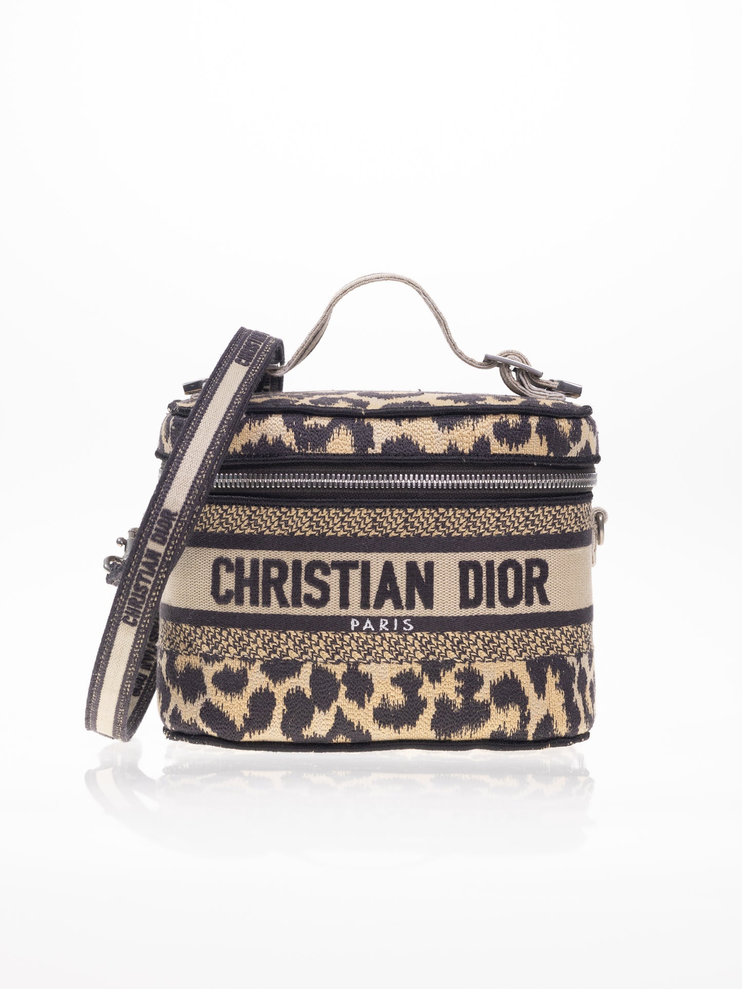 CHRISTIAN DIOR Travel Vanity Leo Handtasche