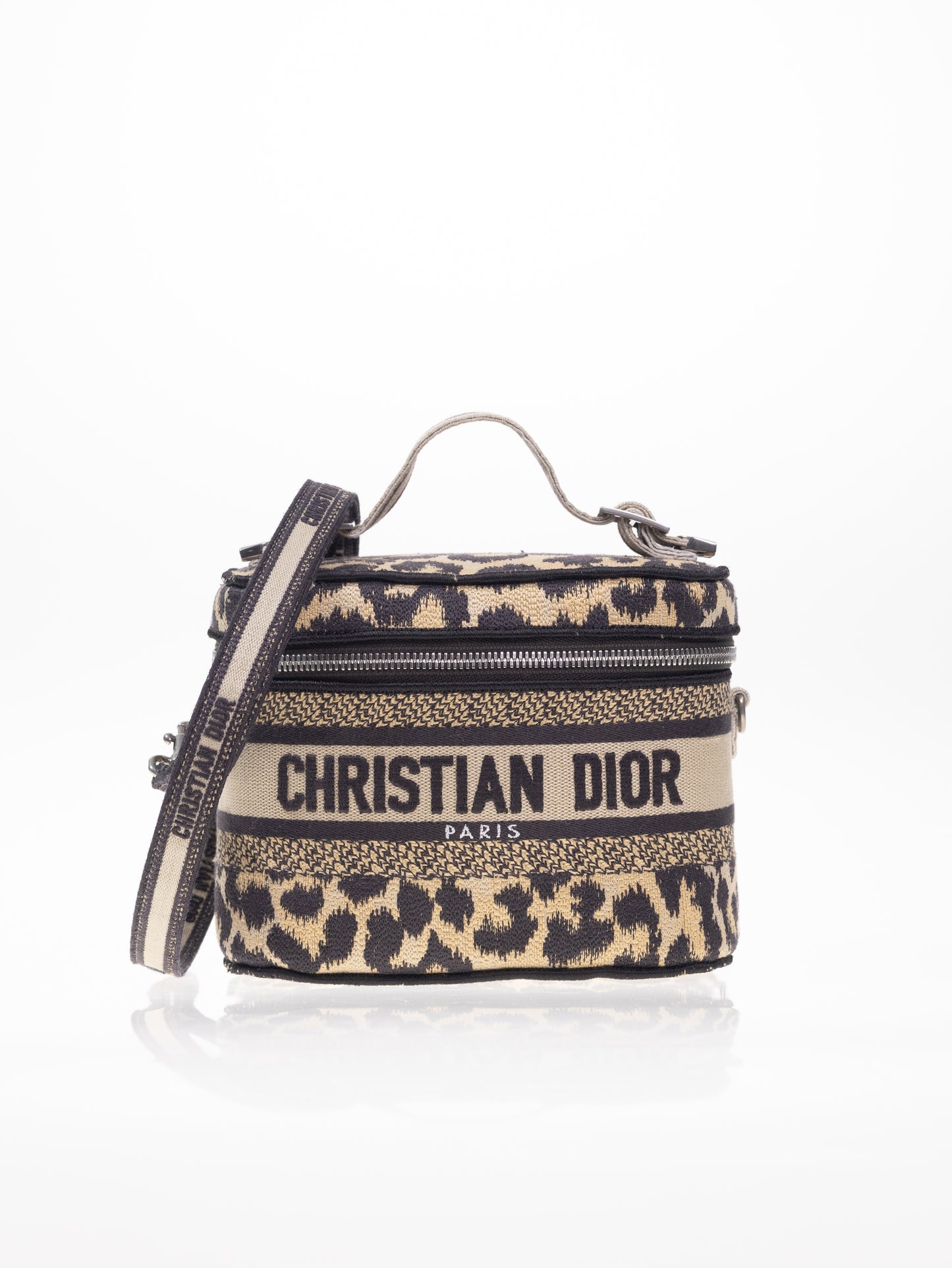 CHRISTIAN DIOR Travel Vanity Leo Handtasche