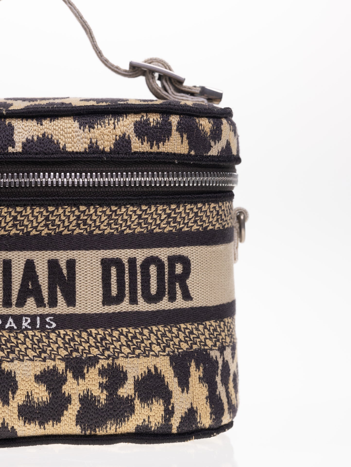 CHRISTIAN DIOR Travel Vanity Leo Handtasche