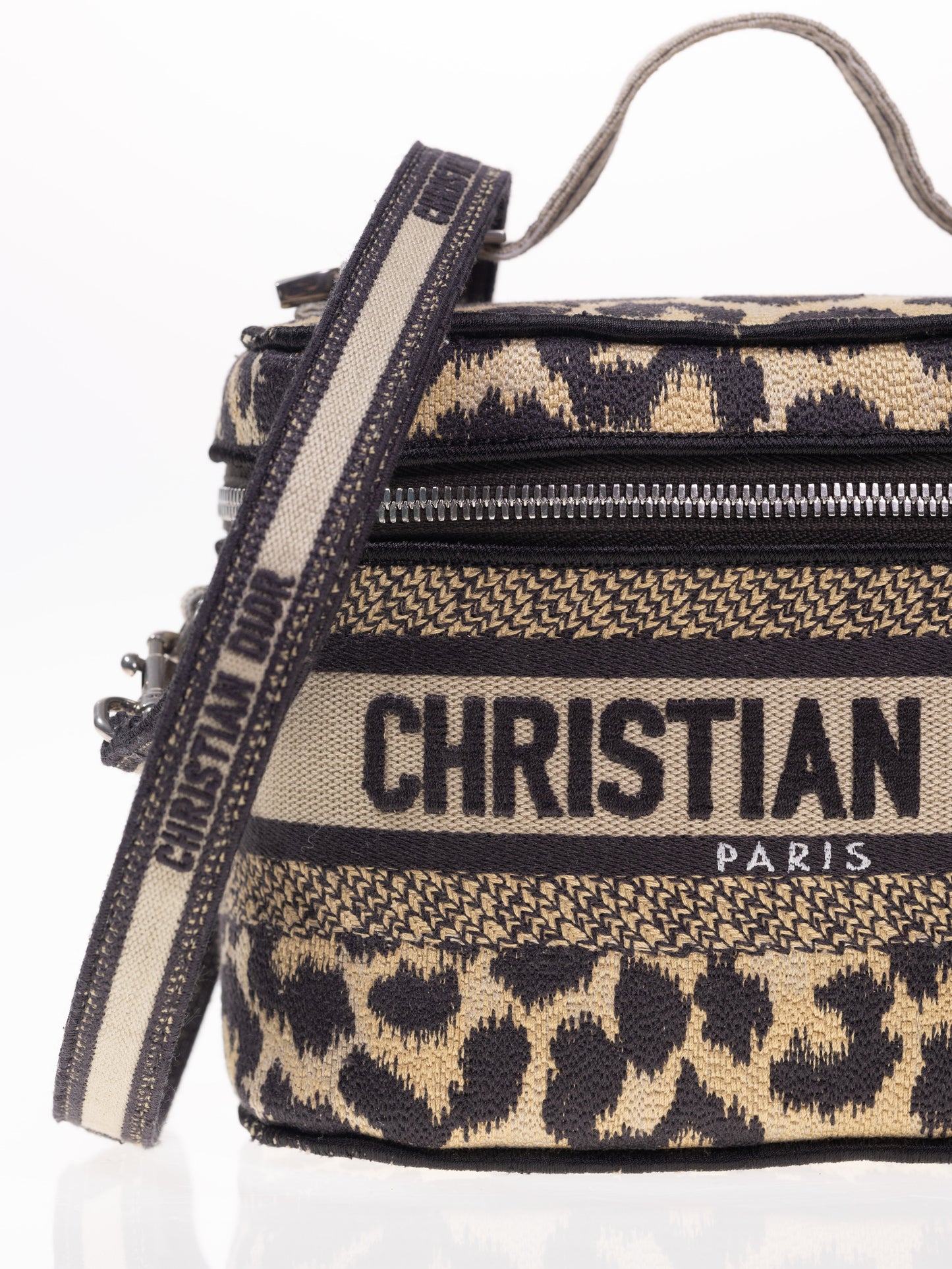 CHRISTIAN DIOR Travel Vanity Leo Handtasche