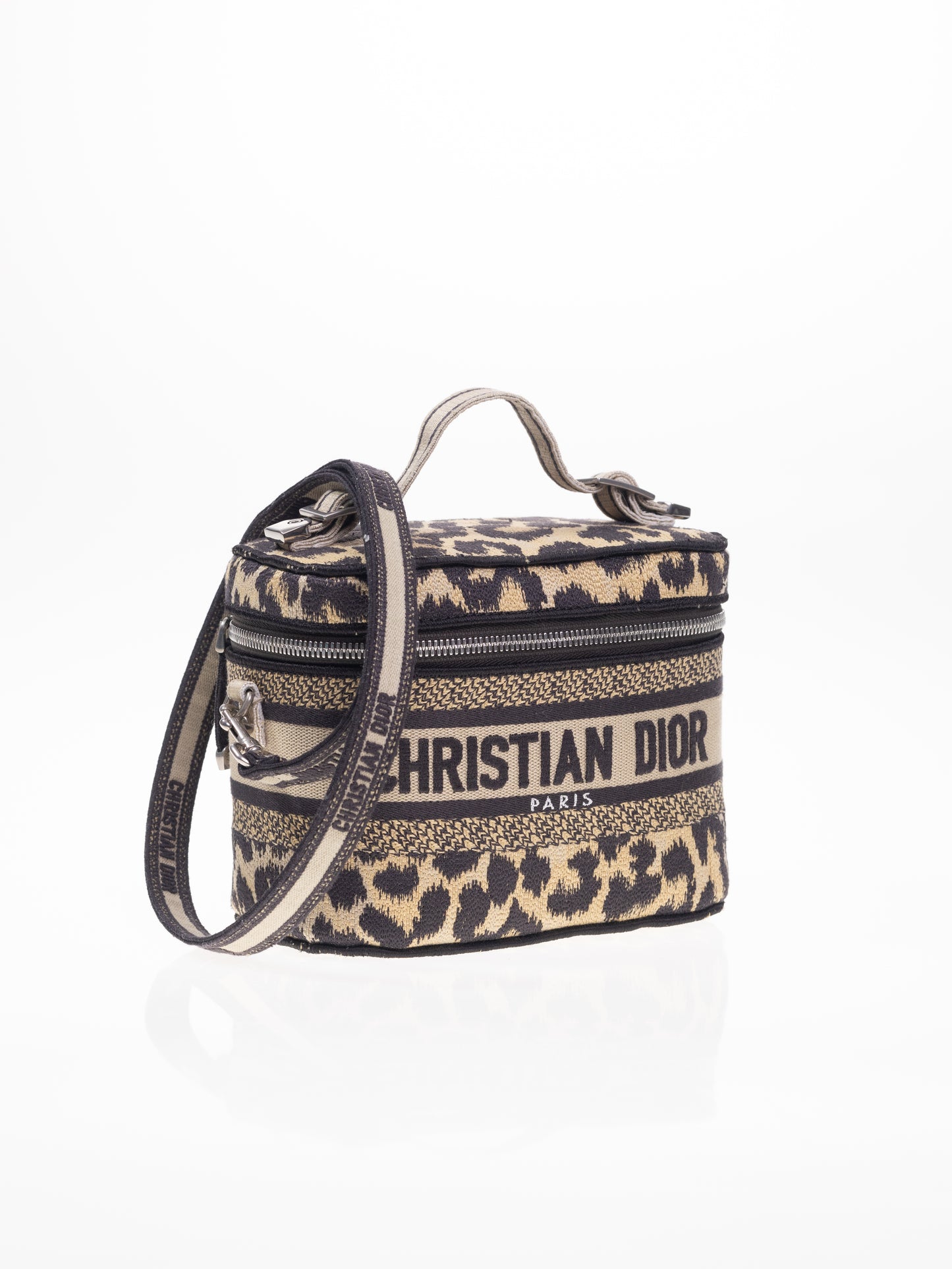 CHRISTIAN DIOR Travel Vanity Leo Handtasche