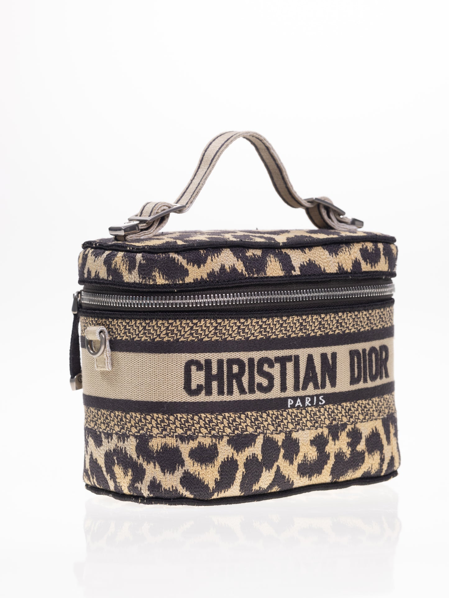 CHRISTIAN DIOR Travel Vanity Leo Handtasche