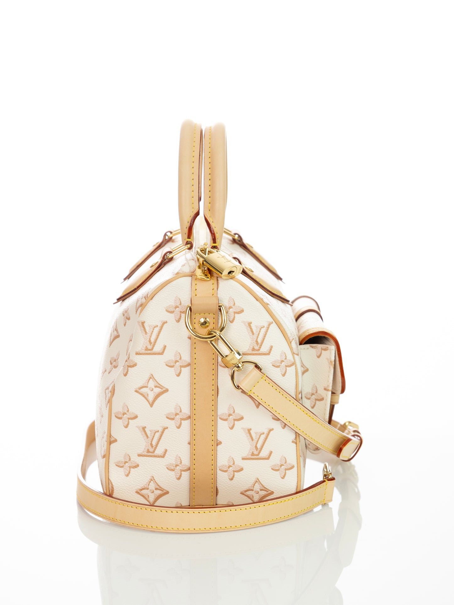 LOUIS VUITTON Speedy 25 Bandouliere Fall for You