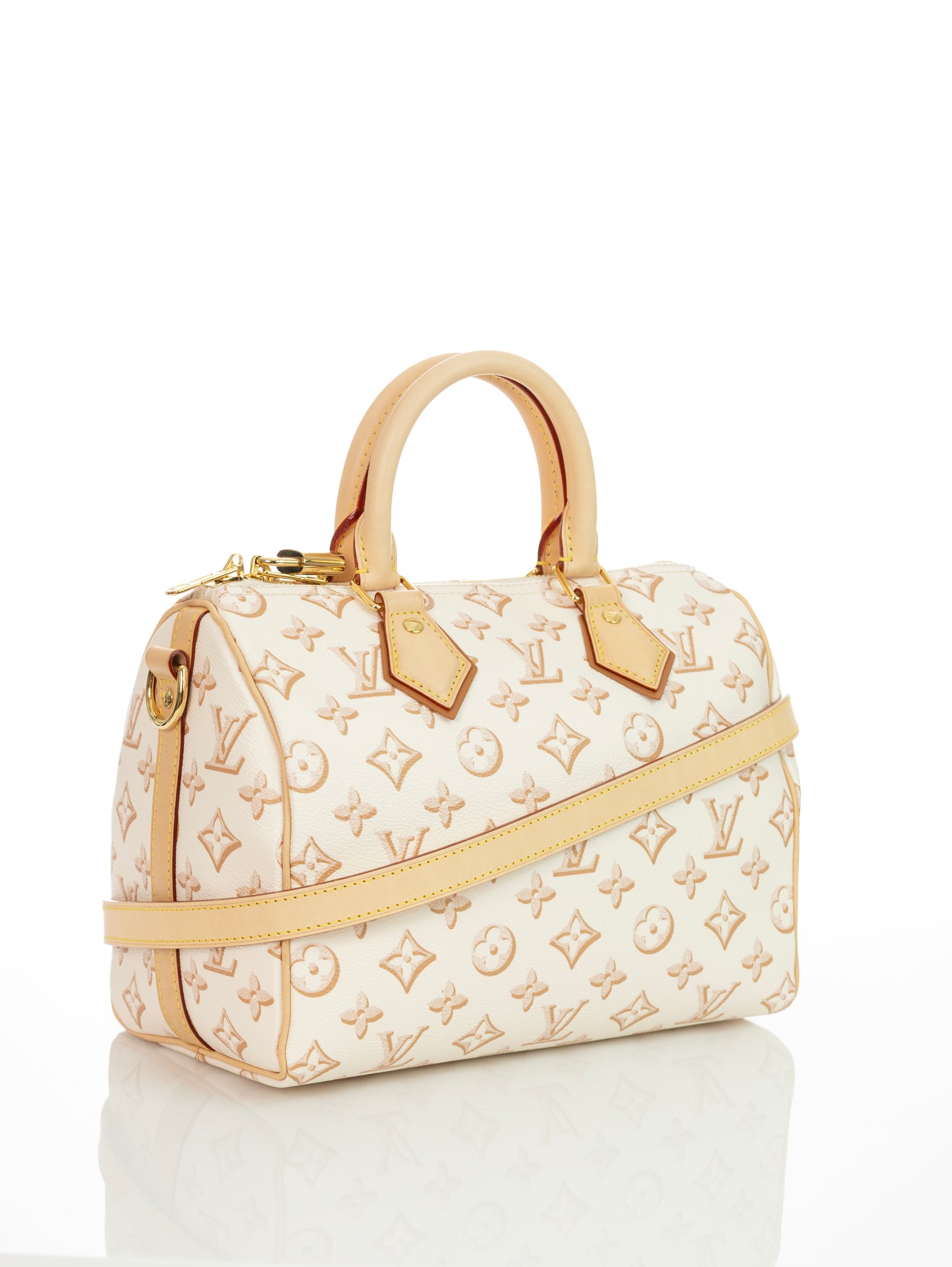 LOUIS VUITTON Speedy 25 Bandouliere Fall for You