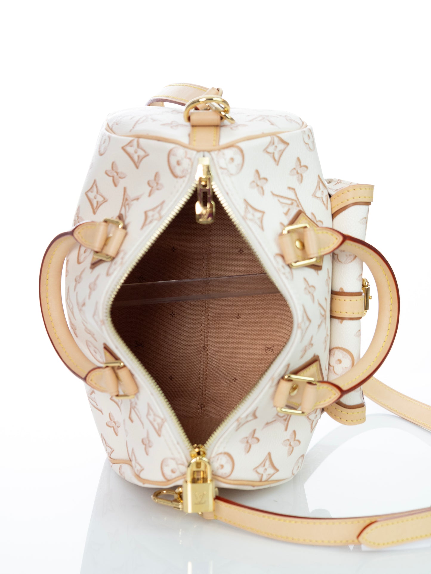 LOUIS VUITTON Speedy 25 Bandouliere Fall for You