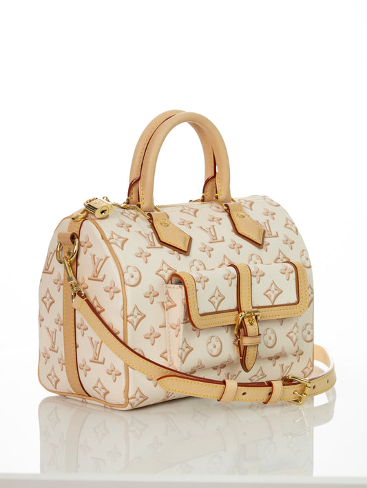 LOUIS VUITTON Speedy 25 Bandouliere Fall for You