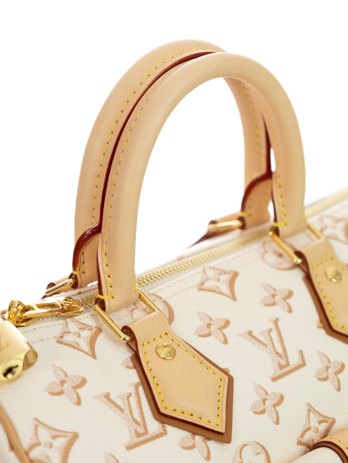 LOUIS VUITTON Speedy 25 Bandouliere Fall for You