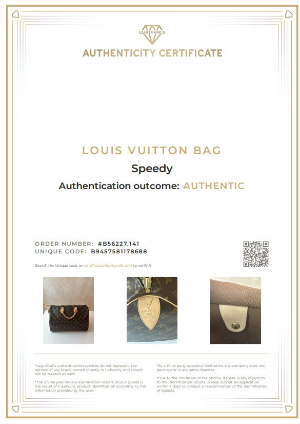 LOUIS VUITTON Speedy 35 Monogram