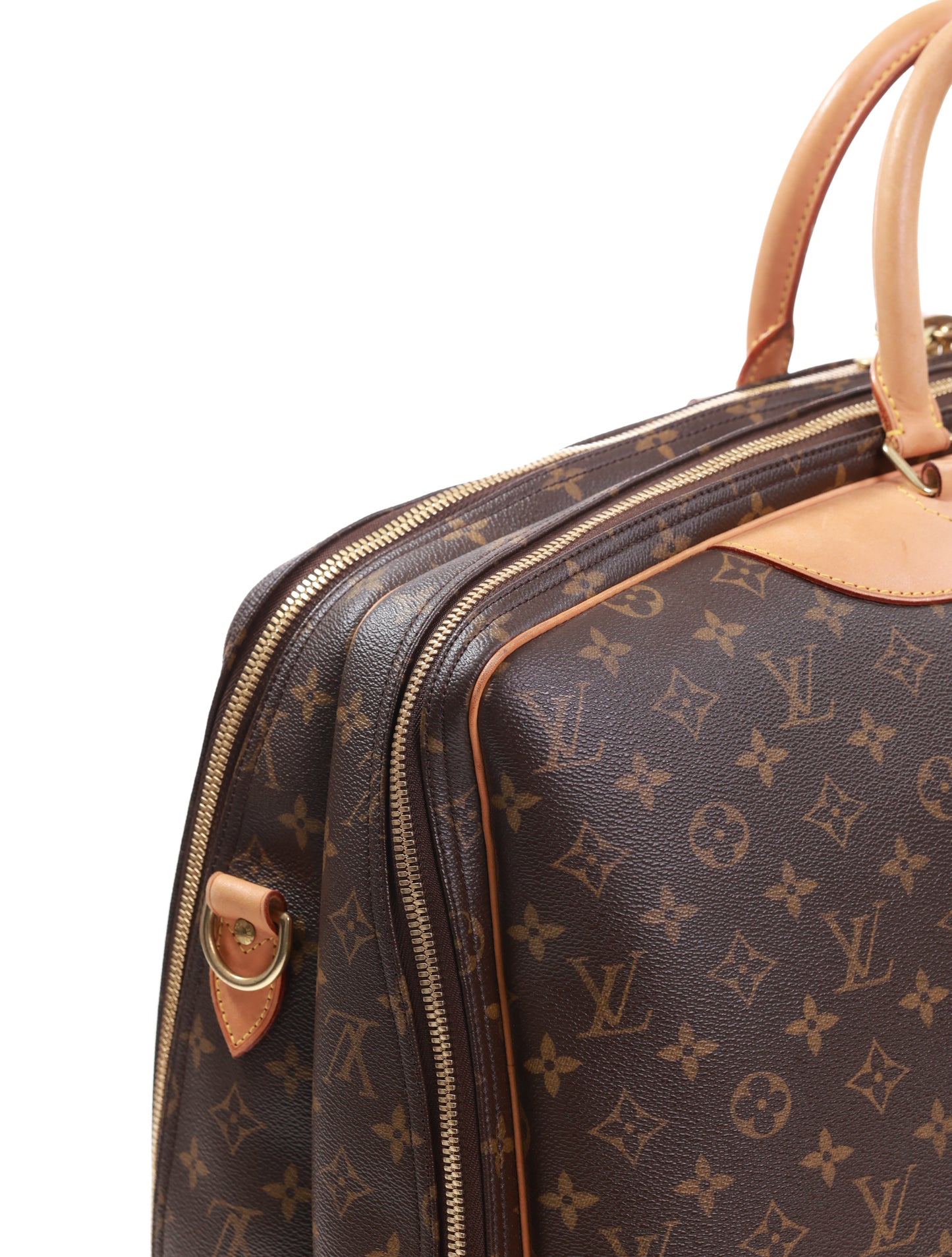 LOUIS VUITTON Koffer Alize Monogram Canvas Handgepäck