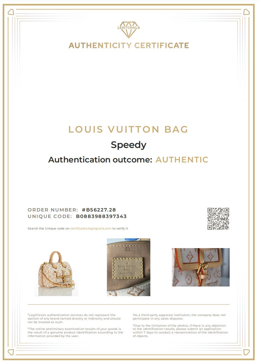 LOUIS VUITTON Speedy 25 Bandouliere Fall for You