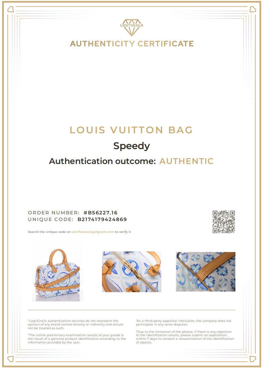 LOUIS VUITTON Speedy 25 Bandouliere Watercolor M11264